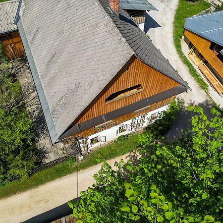 House, Garden And A Green Cat ブレッド エクステリア 写真