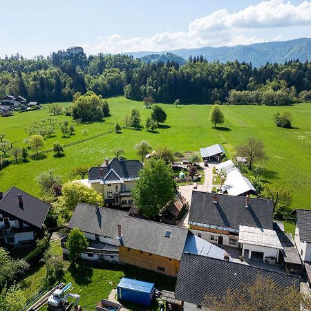 House, Garden And A Green Cat ブレッド エクステリア 写真