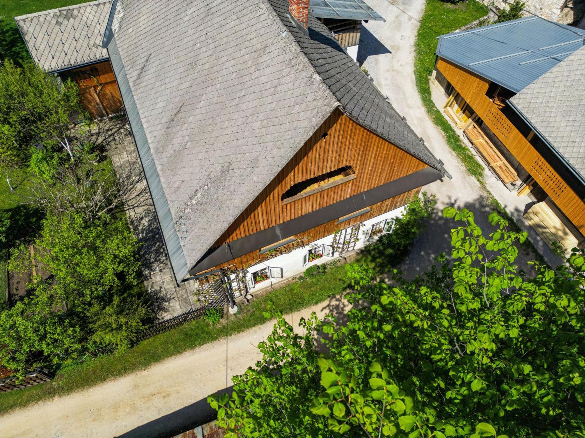 House, Garden And A Green Cat ブレッド エクステリア 写真