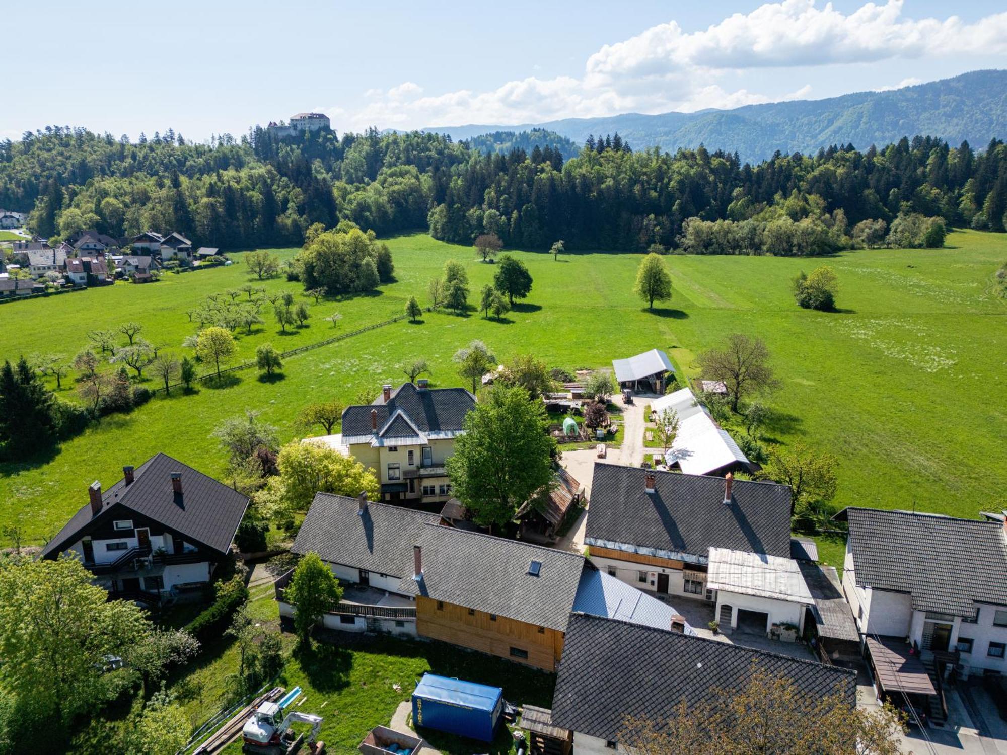 House, Garden And A Green Cat ブレッド エクステリア 写真