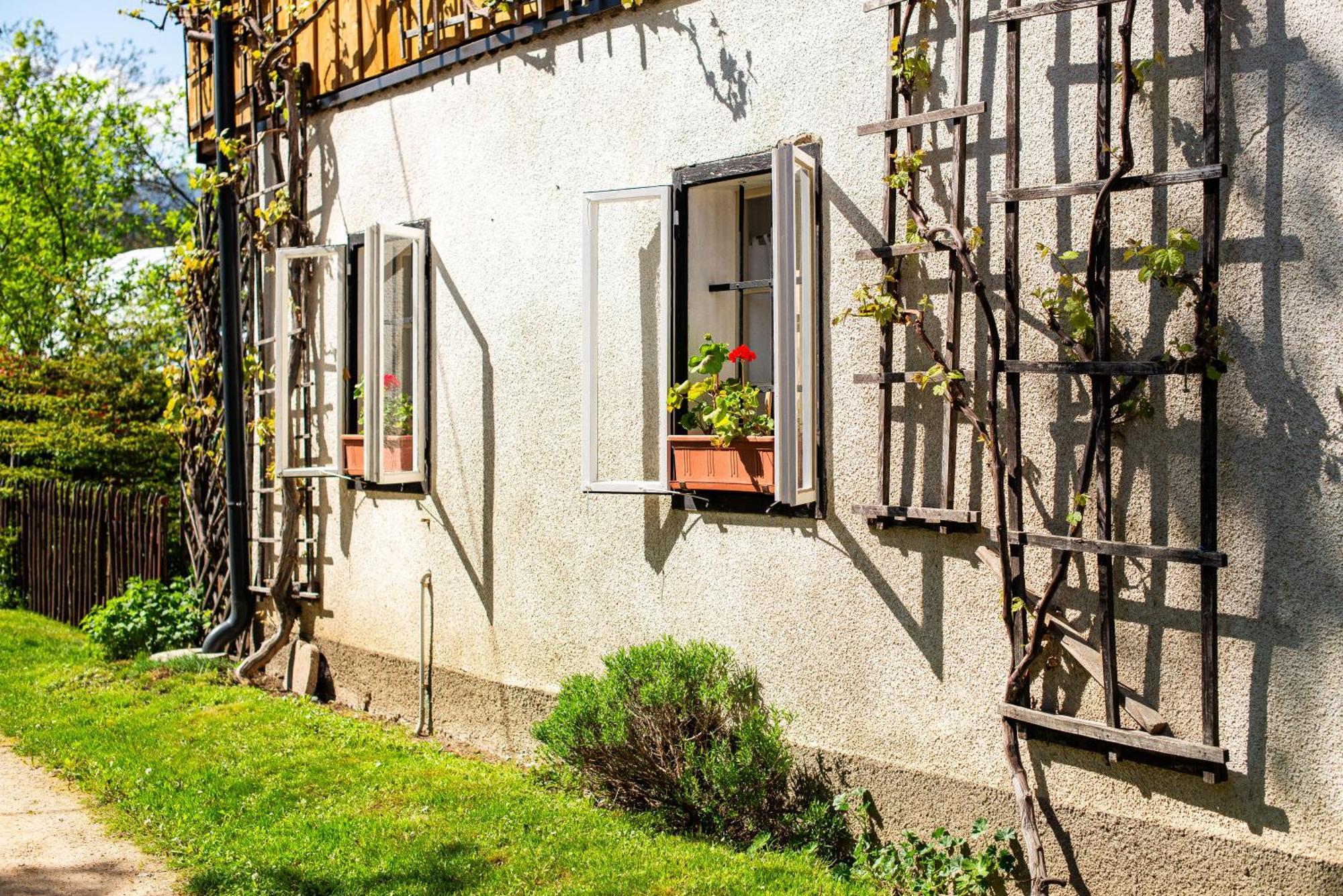 House, Garden And A Green Cat ブレッド エクステリア 写真
