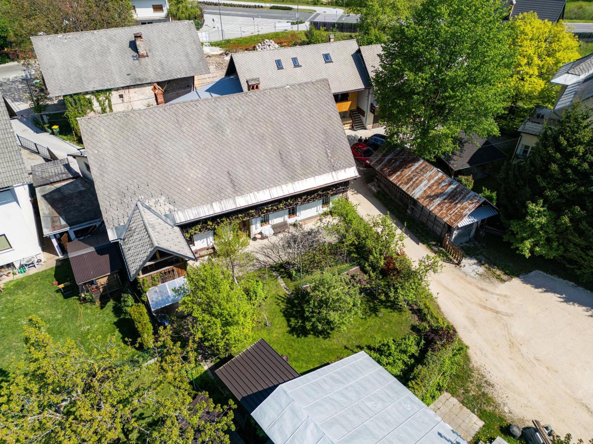 House, Garden And A Green Cat ブレッド エクステリア 写真