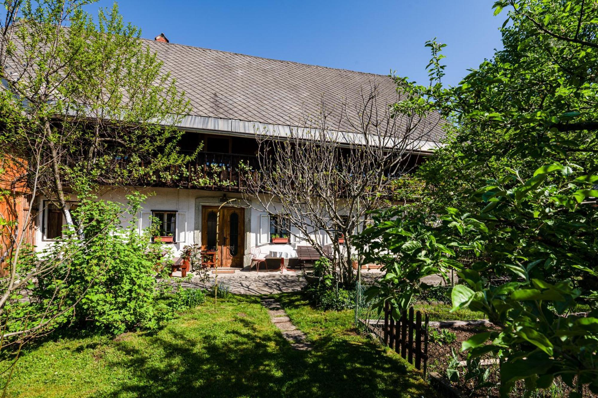 House, Garden And A Green Cat ブレッド エクステリア 写真