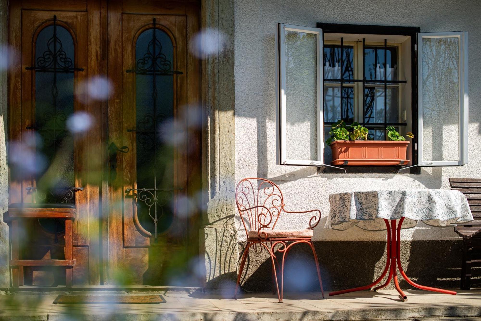 House, Garden And A Green Cat ブレッド エクステリア 写真
