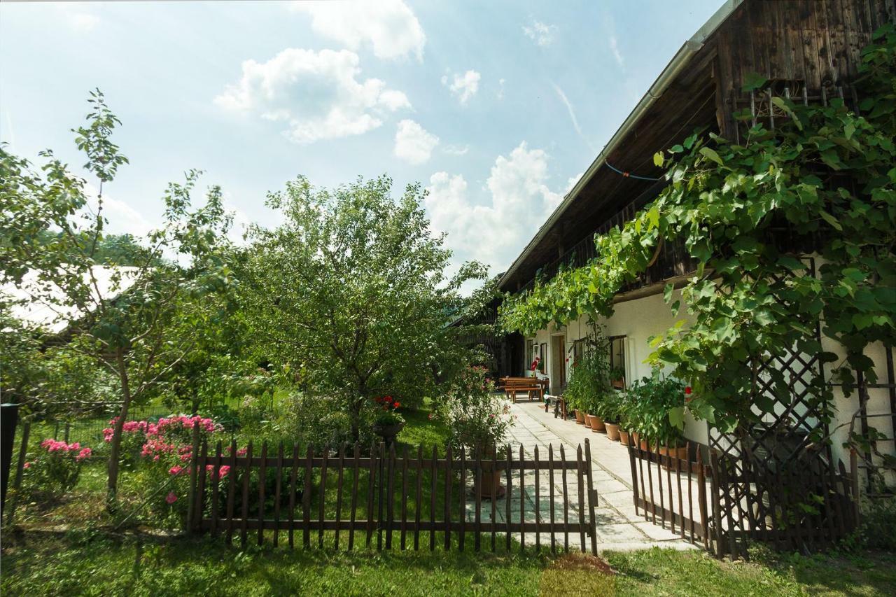 House, Garden And A Green Cat ブレッド エクステリア 写真